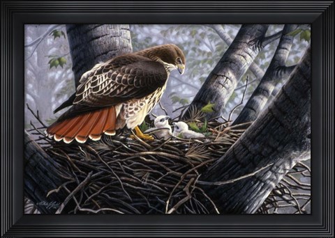 Framed In The Nest Print
