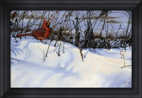 Framed Winter Cardinal Print