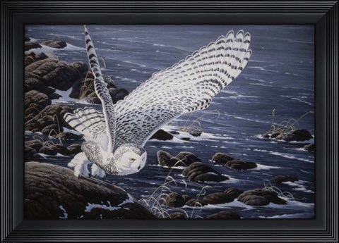 Framed Winter Shore - Snowy Owl Print