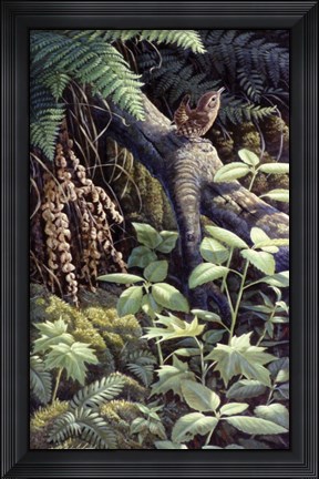 Framed On A Limb Print