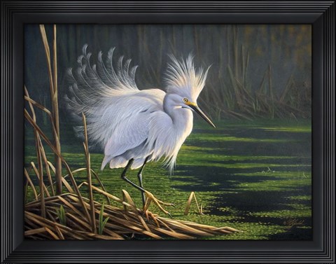 Framed White Splendor Print