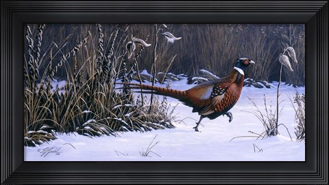 Framed Heading For Cover Print