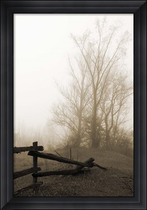 Framed Early Morning I Print
