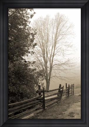 Framed Early Morning II Print