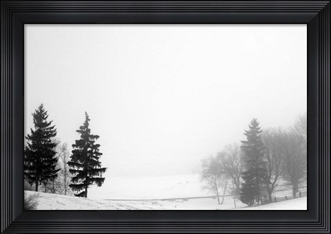 Framed Contrast Print