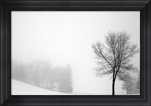 Framed Sentinel Print