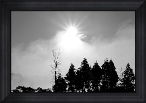 Framed Sunfire Print