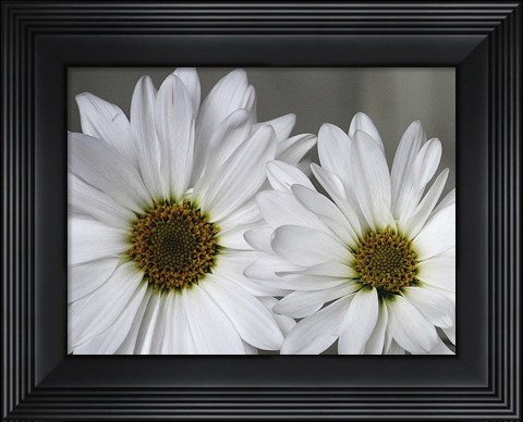 Framed Don&#39;t Eat Daisies I Print