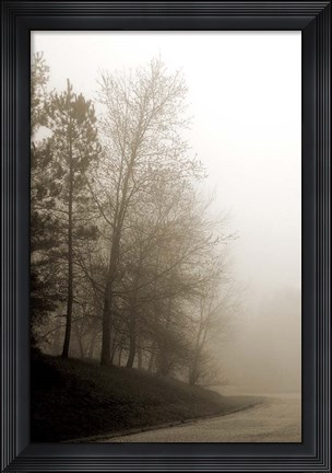 Framed Early Morning III Print
