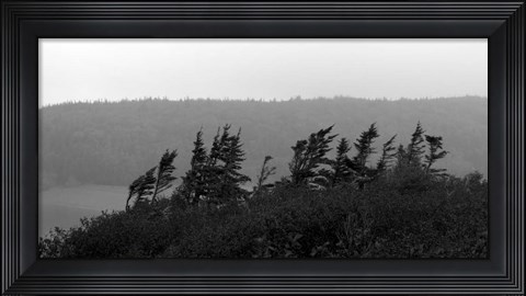 Framed View from the Cape II Print