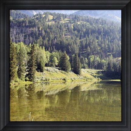 Framed Reflections I Print