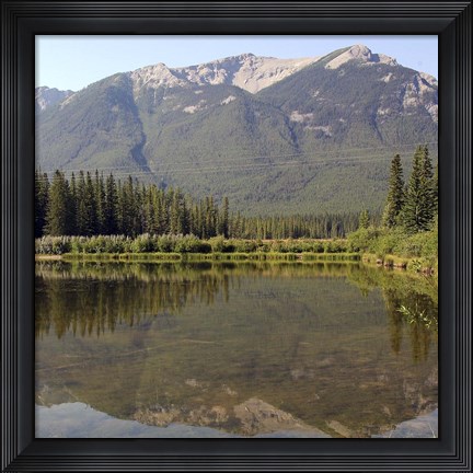Framed Reflections II Print