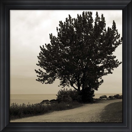 Framed Silhouette I Print