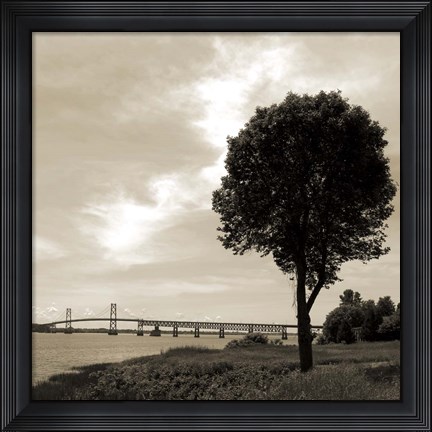 Framed Silhouette II Print