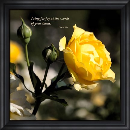 Framed Summer Blooms Print
