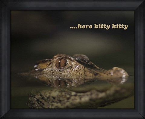 Framed Here Kitty Gator Print