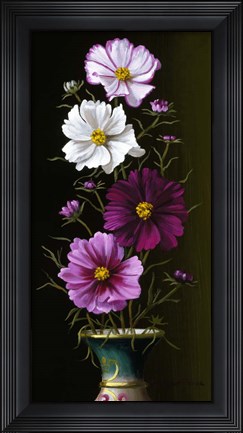 Framed Four Cosmos Print