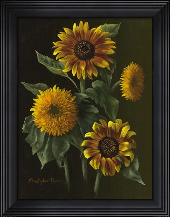 Framed Four Sunflowers Print