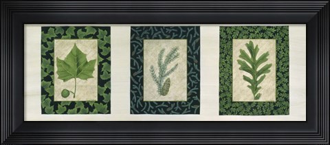 Framed Three Leaves C Print