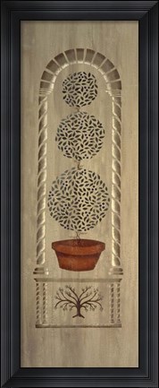 Framed 34 Topiary 3 Print