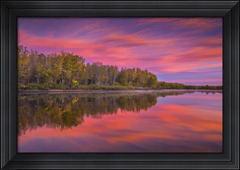 Framed Autumn Splendor Print