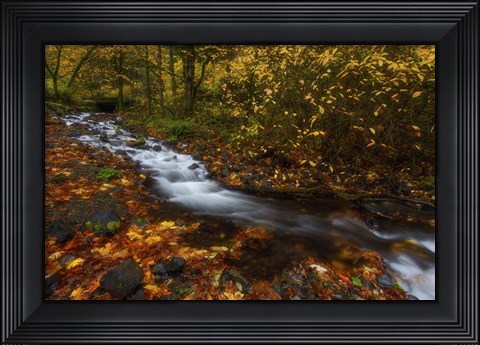 Framed Creekside Colors Print