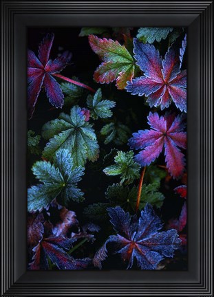 Framed Frosty Fall Print