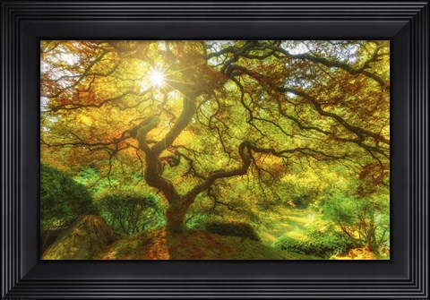 Framed Good Morning Sunshine Print