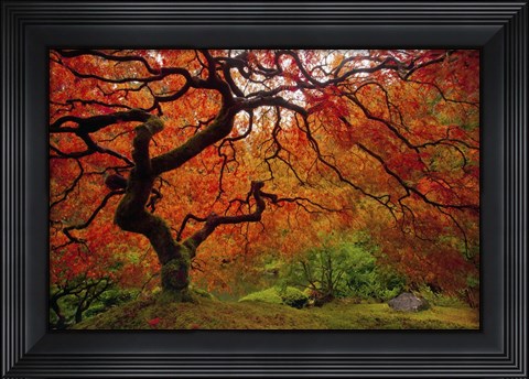 Framed Tree Fire Print