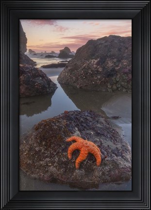 Framed Battle Rock Sunrise Print