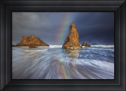 Framed Seagull Storm Watch Print