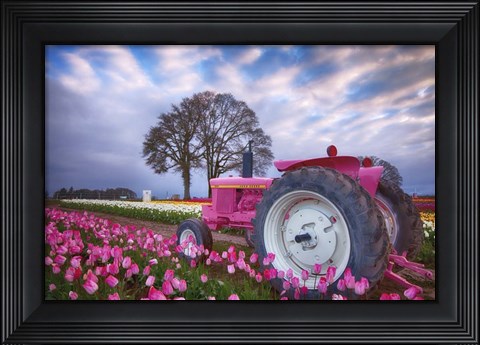 Framed Jane Deere Print