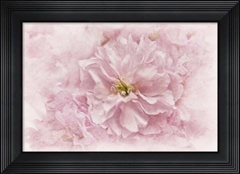 Framed Cherry Blossom Print