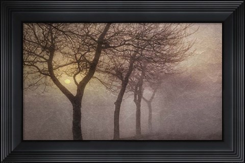 Framed Early Morning Print