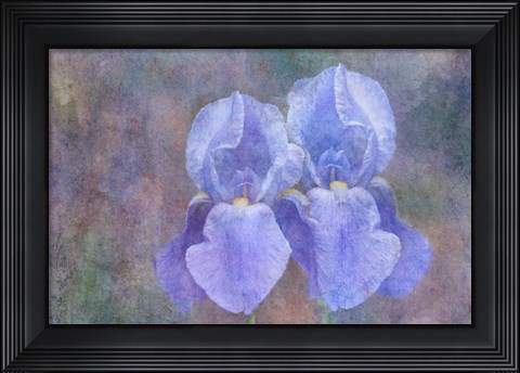 Framed Iris Blue Rhythm Print