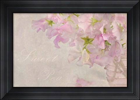 Framed Sweet Pea Print