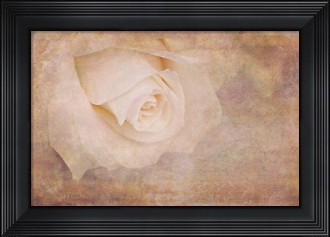 Framed Vintage Rose Card Print