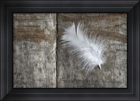 Framed Feather on Wood II Print