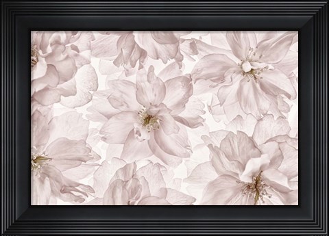 Framed Translucent Cherry Blossom Print