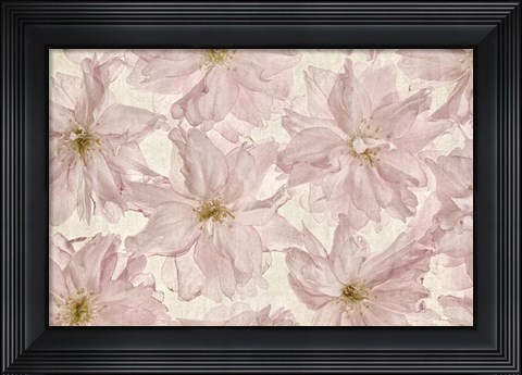 Framed Vintage Blossom Print