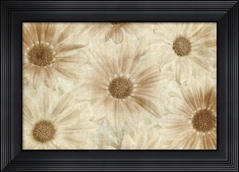 Framed Vintage Daisies Print
