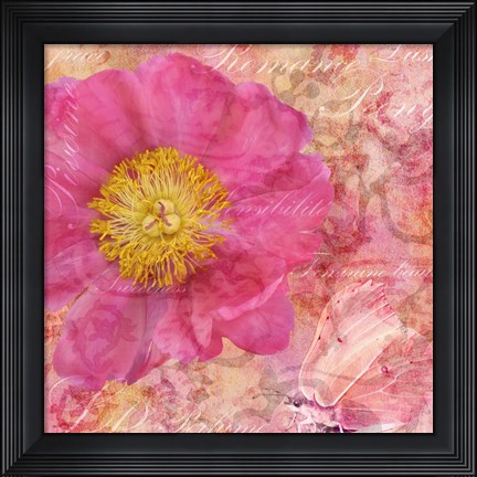 Framed Peony - Feminine Beauty Print