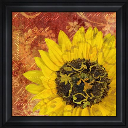 Framed Sunflower - Love of Light Print