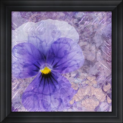 Framed Viola - Secret Love Print