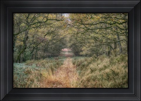 Framed Autumn Walk Print