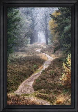 Framed Hiking Trail Print