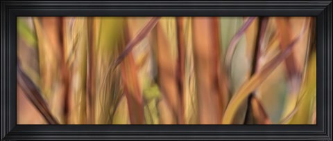 Framed Autumn Grass Scape Print
