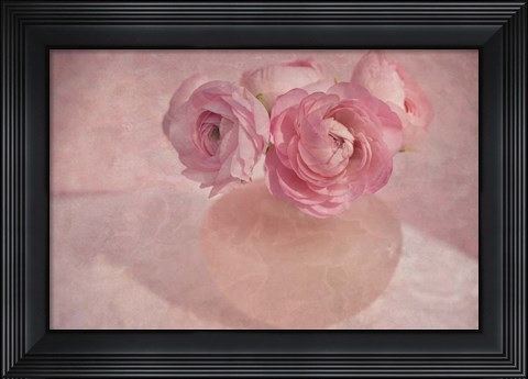 Framed Pink Ranunculus Bouquet Print