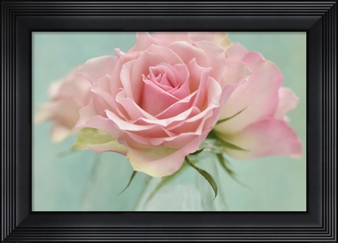 Framed Pink Roses Print