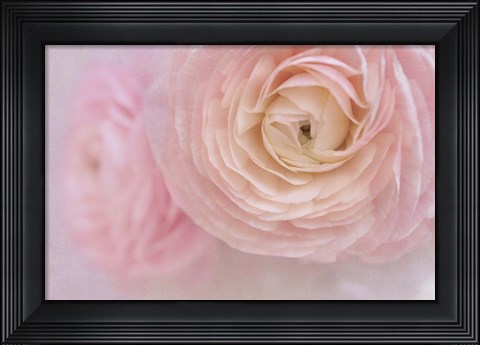 Framed Soft Pink Flower Bouquet Print